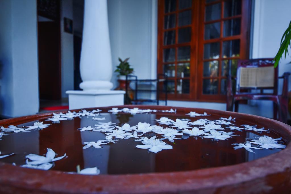 Asian Villa Негомбо Екстериор снимка